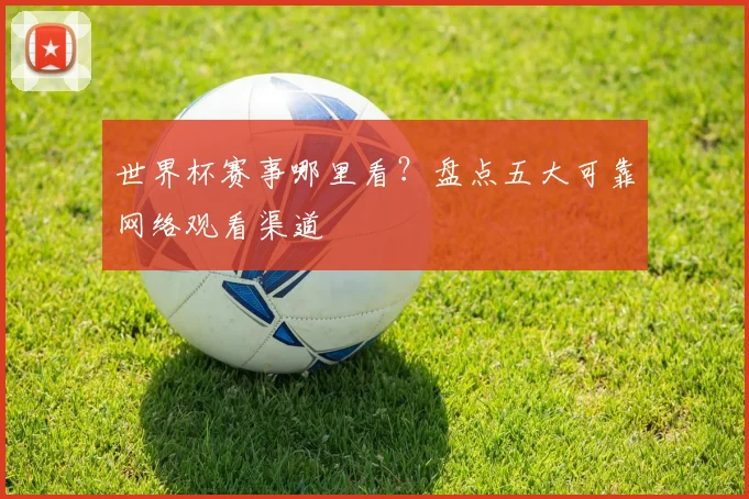 世界杯赛事哪里看？盘点五大可靠网络观看渠道
