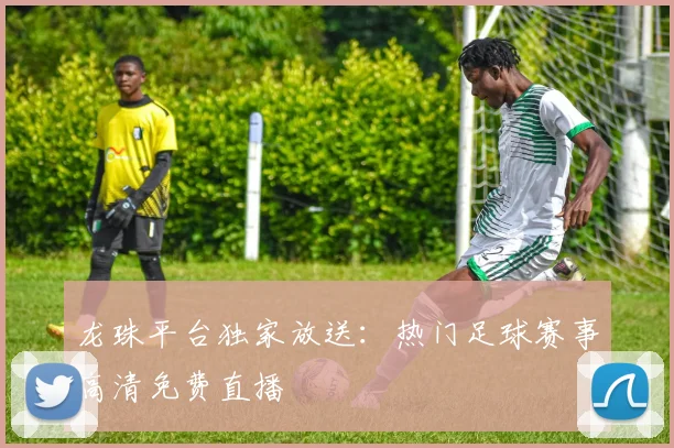 龙珠平台独家放送：热门足球赛事高清免费直播