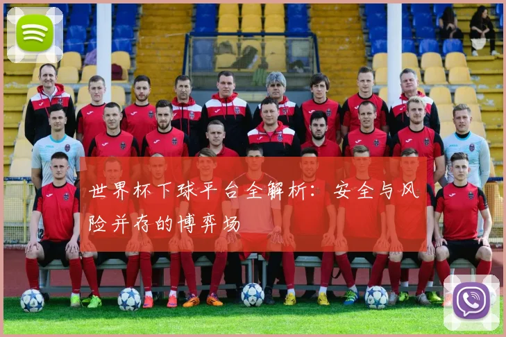世界杯下球平台全解析：安全与风险并存的博弈场