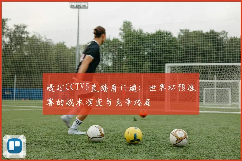 透过CCTV5直播看门道：世界杯预选赛的战术演变与竞争格局