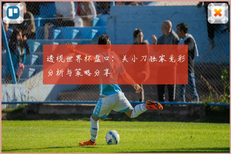 透视世界杯盘口：关小刀独家竞彩分析与策略分享