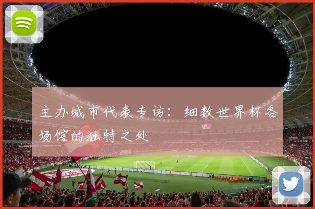 主办城市代表专访：细数世界杯各场馆的独特之处