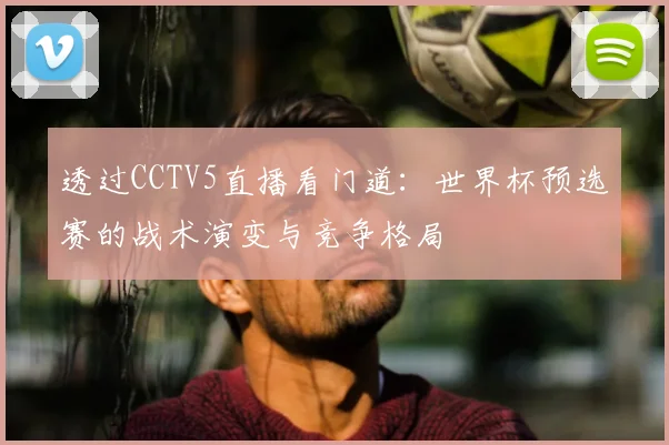 透过CCTV5直播看门道：世界杯预选赛的战术演变与竞争格局