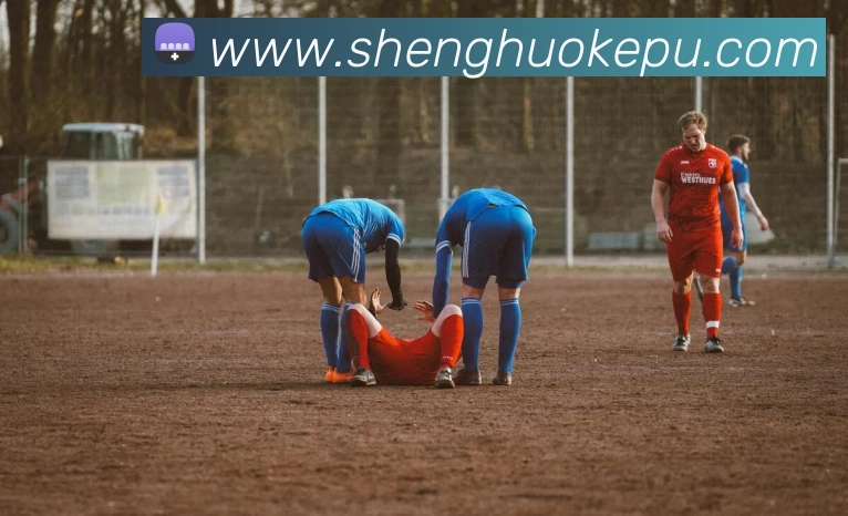 米兰官方网站入口平台生态图